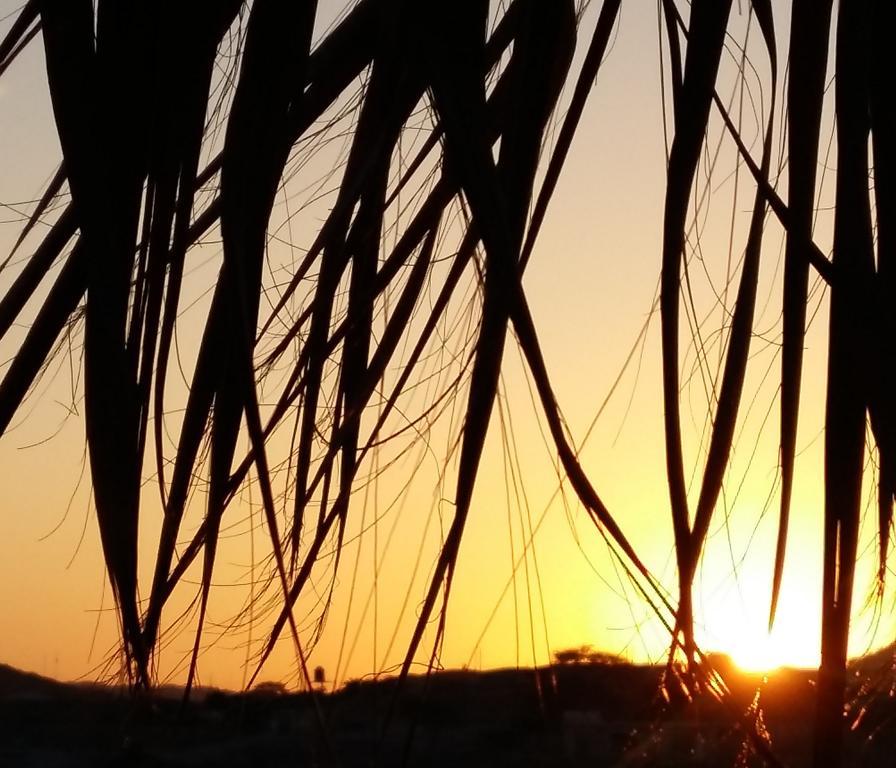 מלון Lapa Lapa Lobitos Bungalows מראה חיצוני תמונה