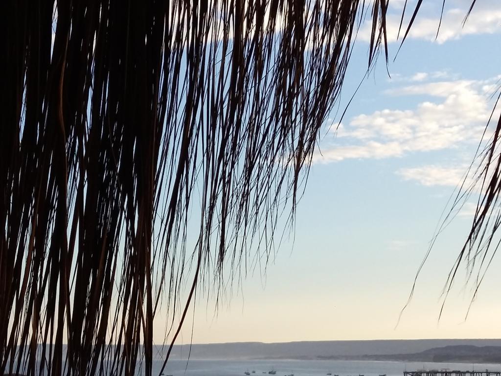 מלון Lapa Lapa Lobitos Bungalows מראה חיצוני תמונה