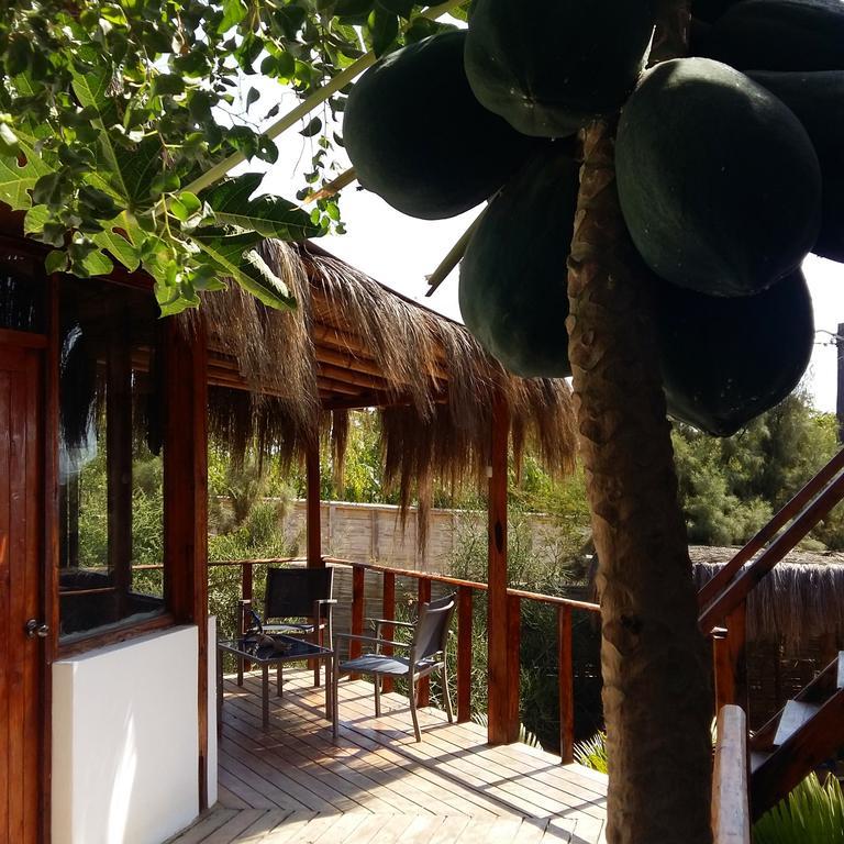 מלון Lapa Lapa Lobitos Bungalows מראה חיצוני תמונה